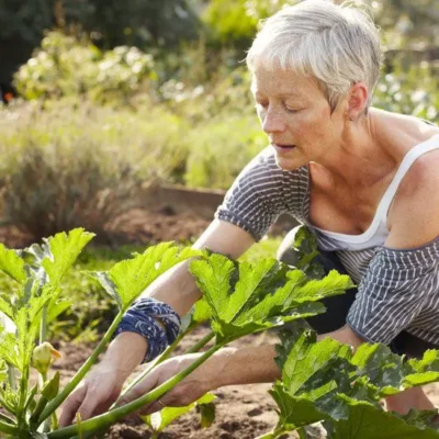 Дохід, необхідний для виходу на пенсію, різко зростає, оскільки зростають сімейні витрати
