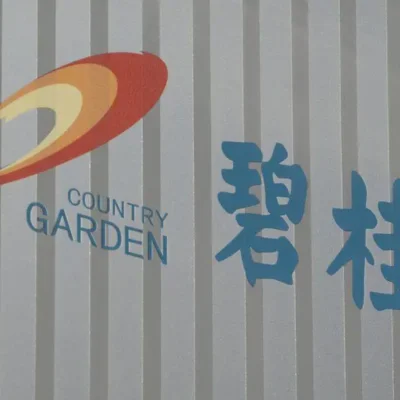 Country Garden: Китайський гігант нерухомості подав петицію про ліквідацію