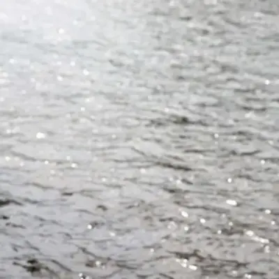 Welsh Water оштрафували на 1,3 мільйона фунтів стерлінгів за «недбалий» моніторинг