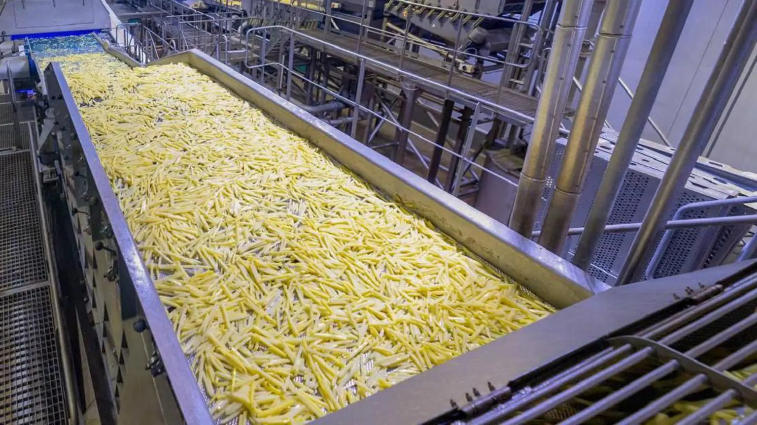 HyFun Foods має сім заводів з переробки картоплі в Гуджараті