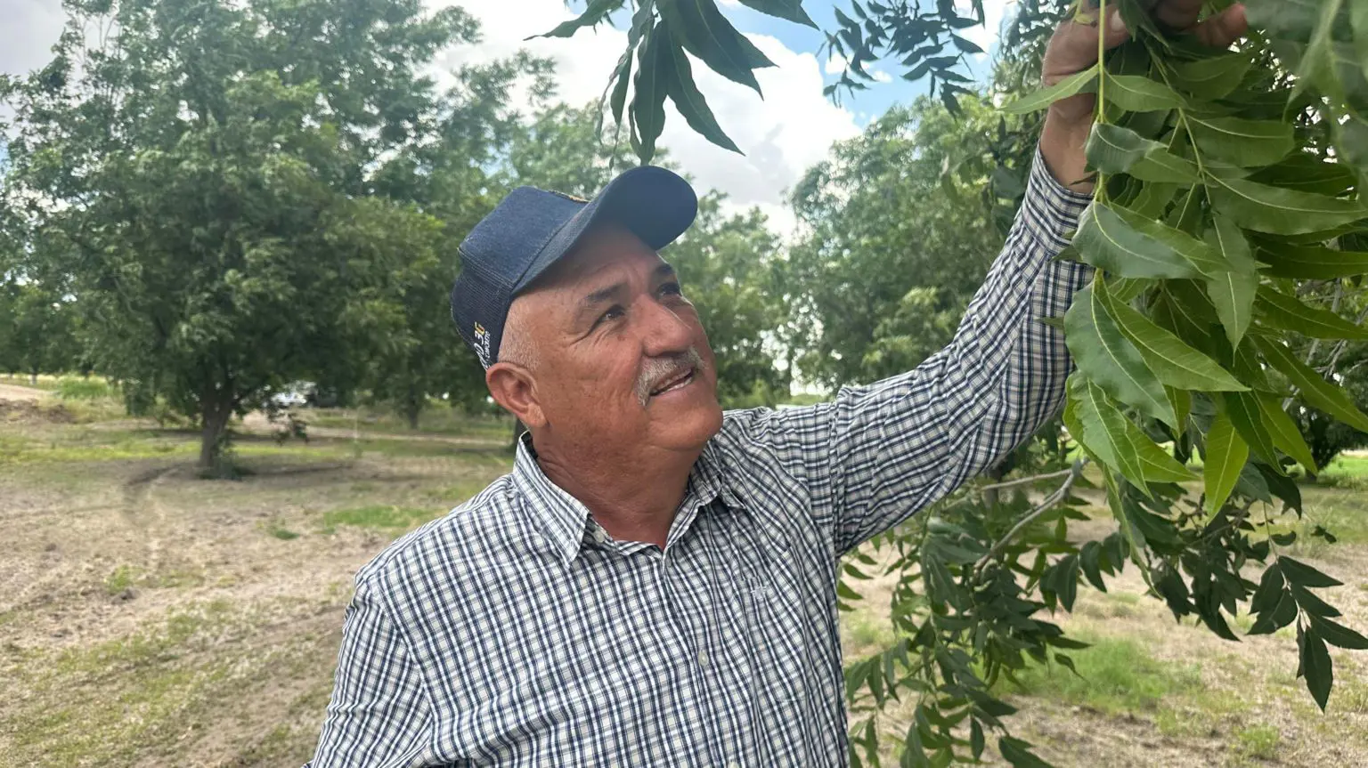 Хайме Рамірез, який вирощує горіхи, визнає, що деякі його сусіди марнотратно використовують воду