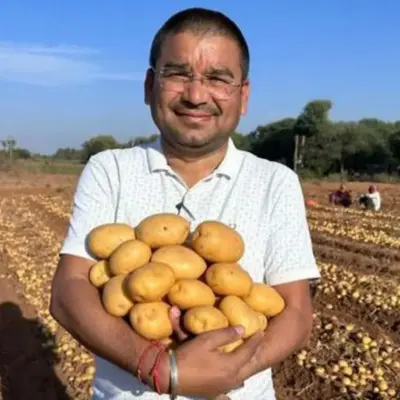 Spud-tacular: Як Індія стала супердержавою картоплі фрі