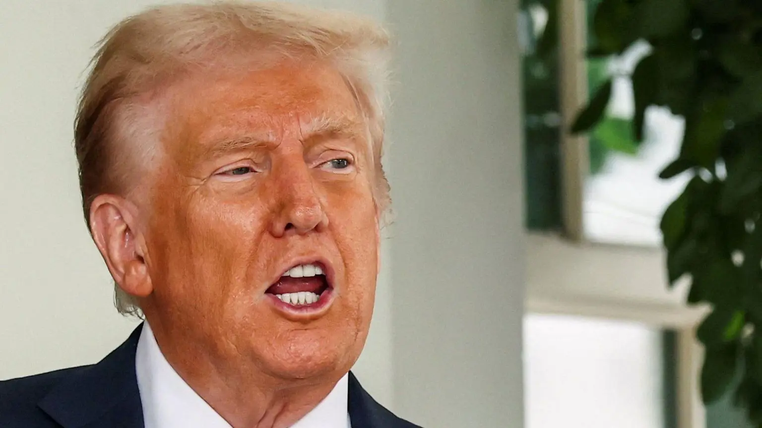 Дональд Трамп одягнений у темний піджак, білу сорочку та червону краватку з малюнком. На тлі — частина вікна та зелене листя кімнатної рослини.