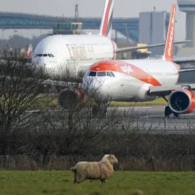 Розширення аеропортів ставить під загрозу кліматичні цілі, кажуть депутати