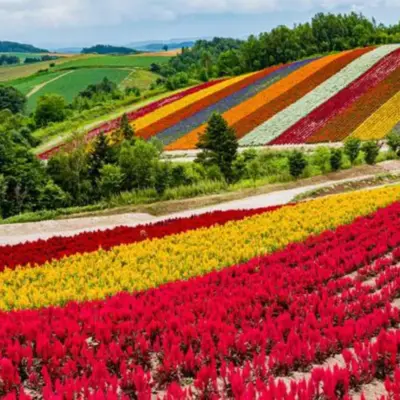 Японія ставить на ризик перетворити острів квітів на світовий центр виробництва мікросхем