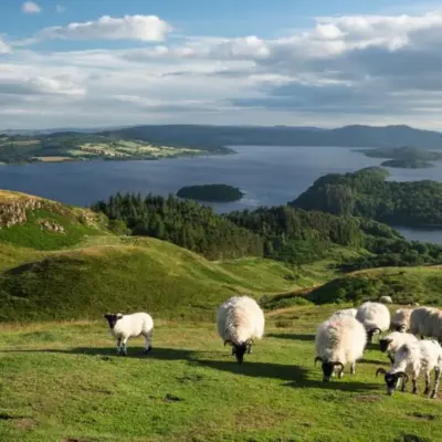 Депутати парламенту ухвалили земельну реформу, яка може призвести до поділу величезних маєтків