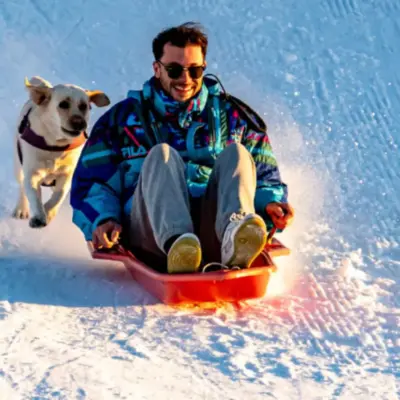 Телевізор для собак, боже мій, але чи дивляться вони його?