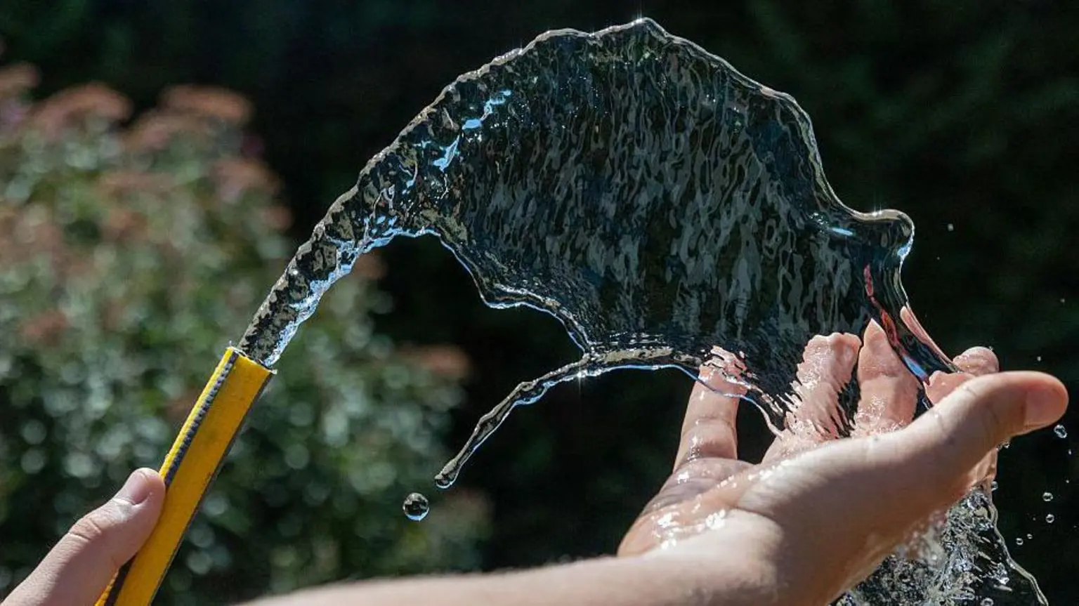 Південно-східна вода (South East Water) заявляє, що поширює заборону на використання шлангів по всьому Кенту, зокрема на Сассекс, Суррей, Гемпшир та Беркшир.